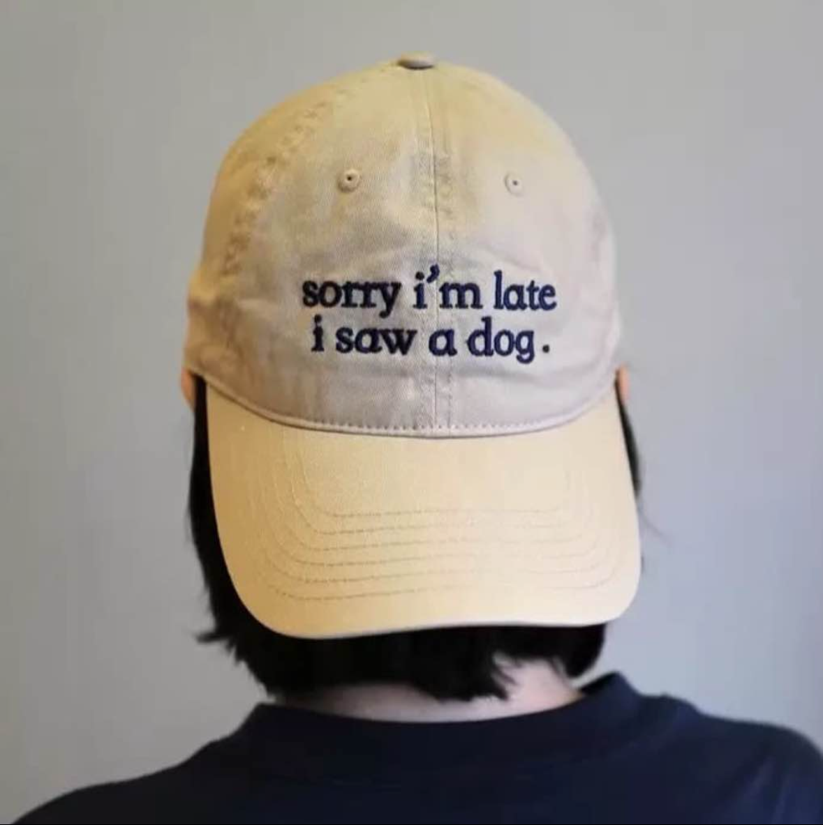 Dog owner cap “sorry i’m late i saw a dog.”