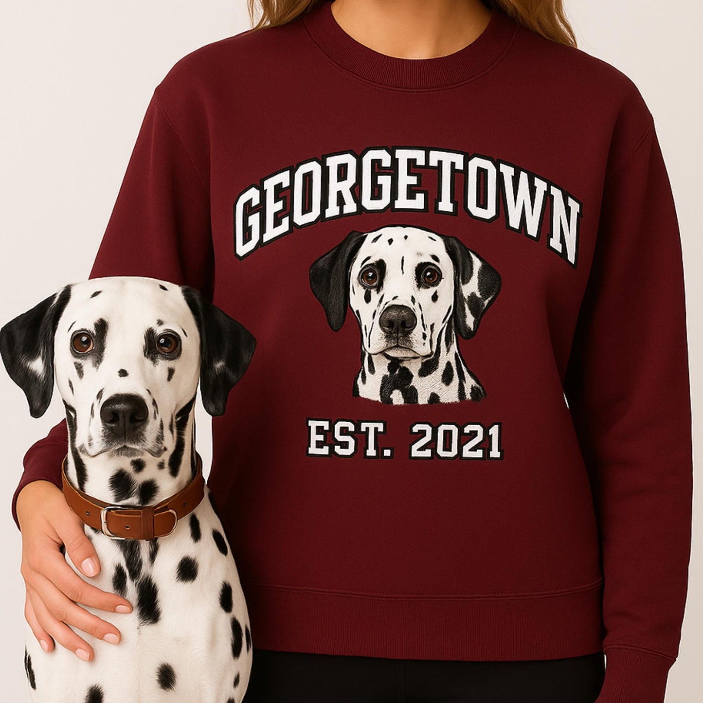Pet Embroidered Sweatshirt, Embroidered Dog Hoodie Custom Dog Face Embroidered Sweatshirt From Photo, Pet Lovers Gift, Custom dog sweatshirt